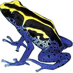 Cobalt Dart Brazilian